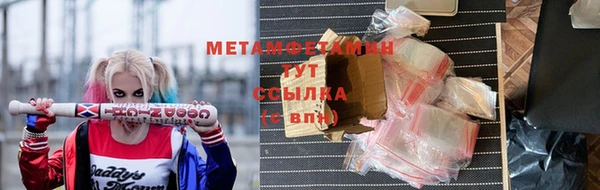 крисы Абаза