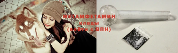 крисы Абаза