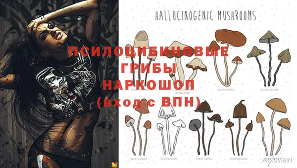 ECSTASY Абдулино