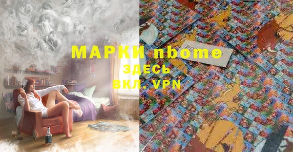 крисы Абаза