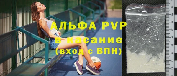 крисы Абаза