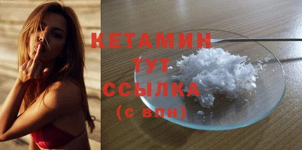 крисы Абаза