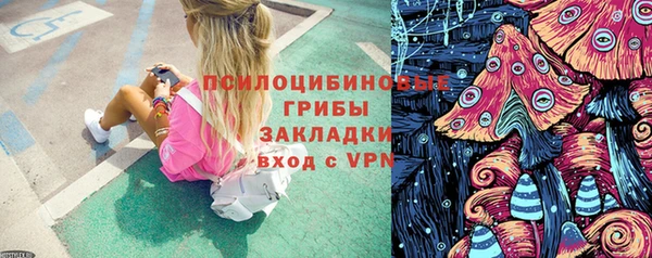 крисы Абаза