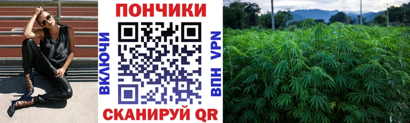 Каннабис ГИДРОПОН  MEGA онион  Адыгейск 